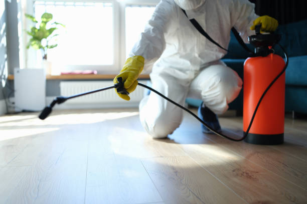 Best Termite Control Services  in Georgetown, IN