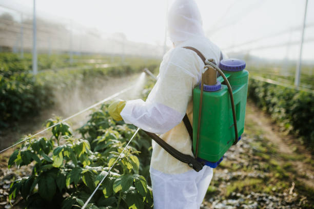 Best Pest Removal Services  in Georgetown, IN